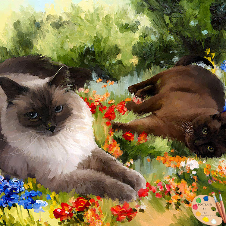 Siamese Cats Portrait 512