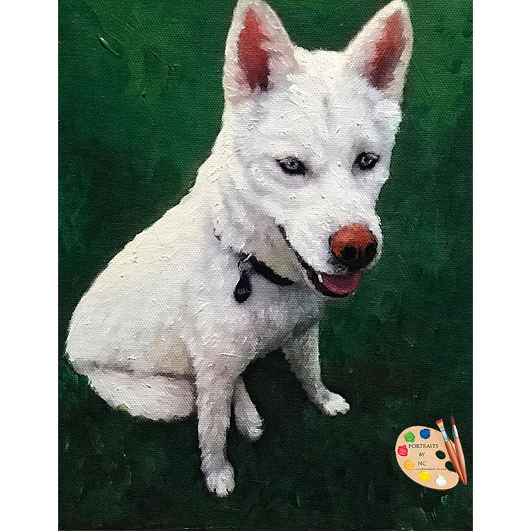 Siberian Husky Dog Painting 555