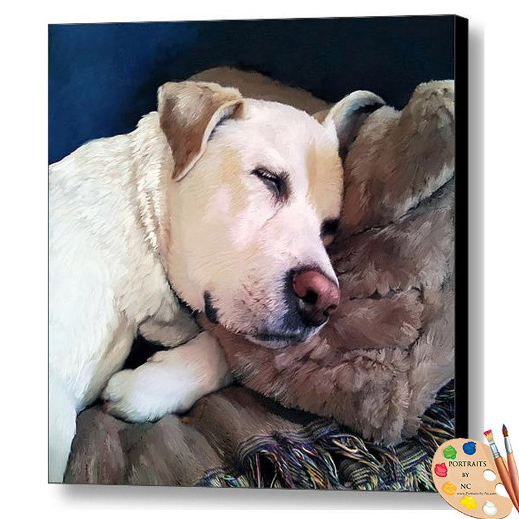Sleeping Labrador Dog Print 327