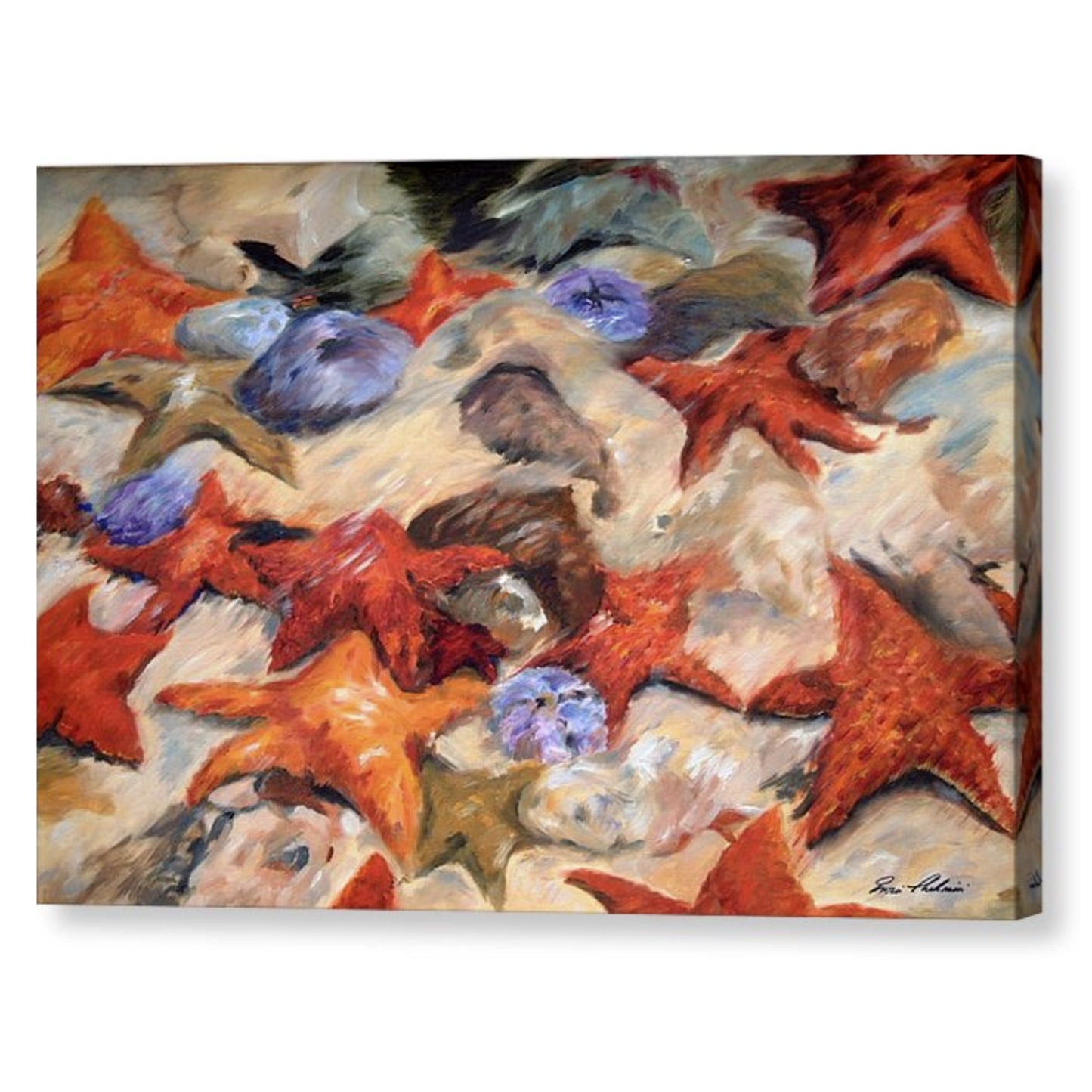starfish canvas print art