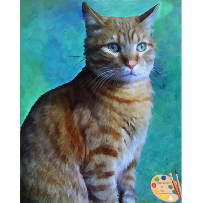 Cat Portrait 489 - Portraits by NC