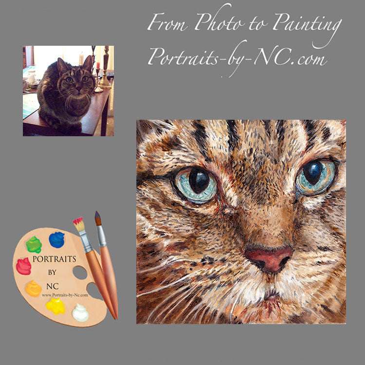 Tabby Cat Portrait from Photo 188