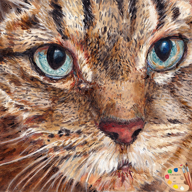 Tabby Cat Portrait Bailey 188