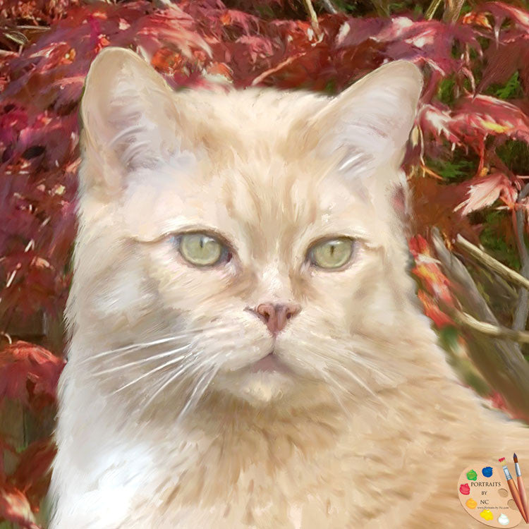 Tabby Cat Face Portrait 285