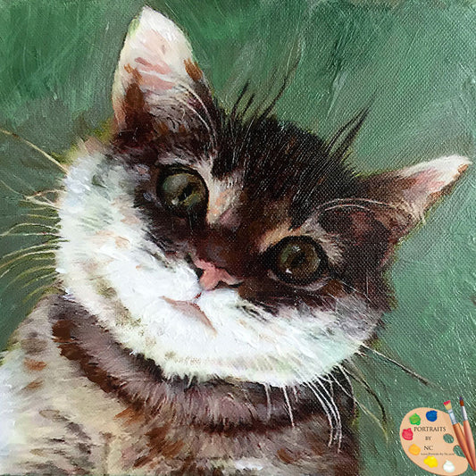 tabby cat portrait