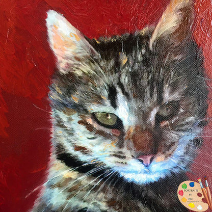 tabby-cat-oil-painting-450