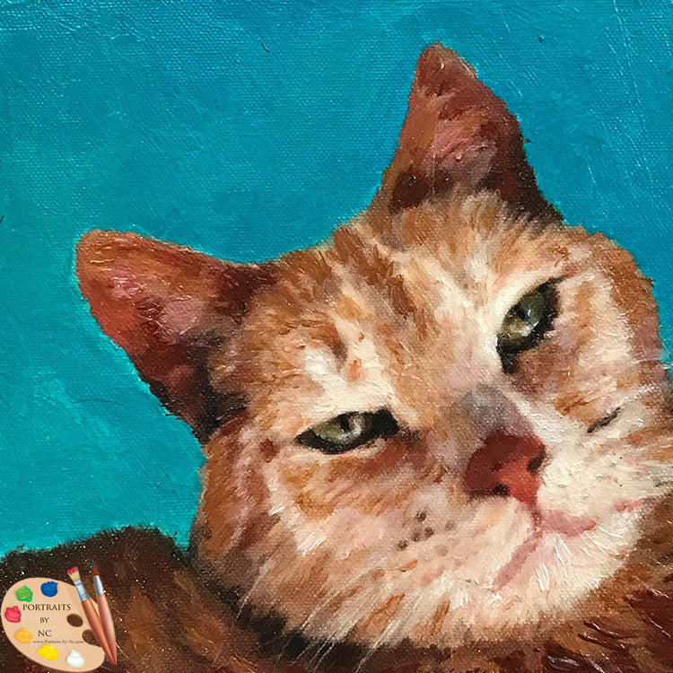 Tabby Cat Portrait 550