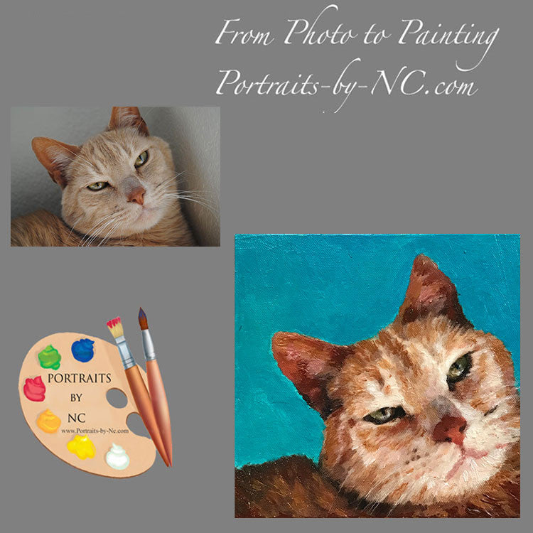 Tabby Cat Portrait from Photo 550
