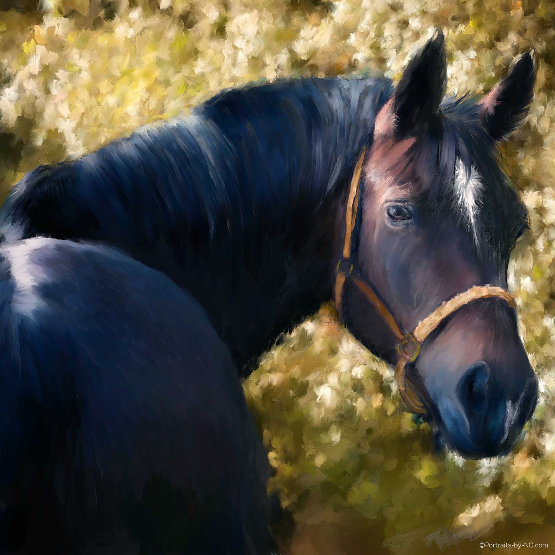 Tennessee Walker Horse Portrait