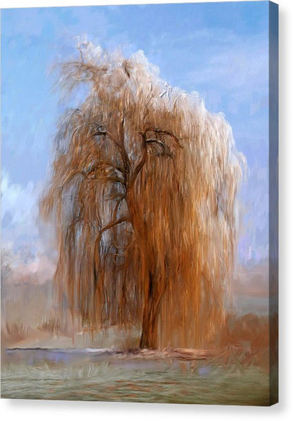 Stretched Canvas Print - The Lone Willow Tree - Landscape Print