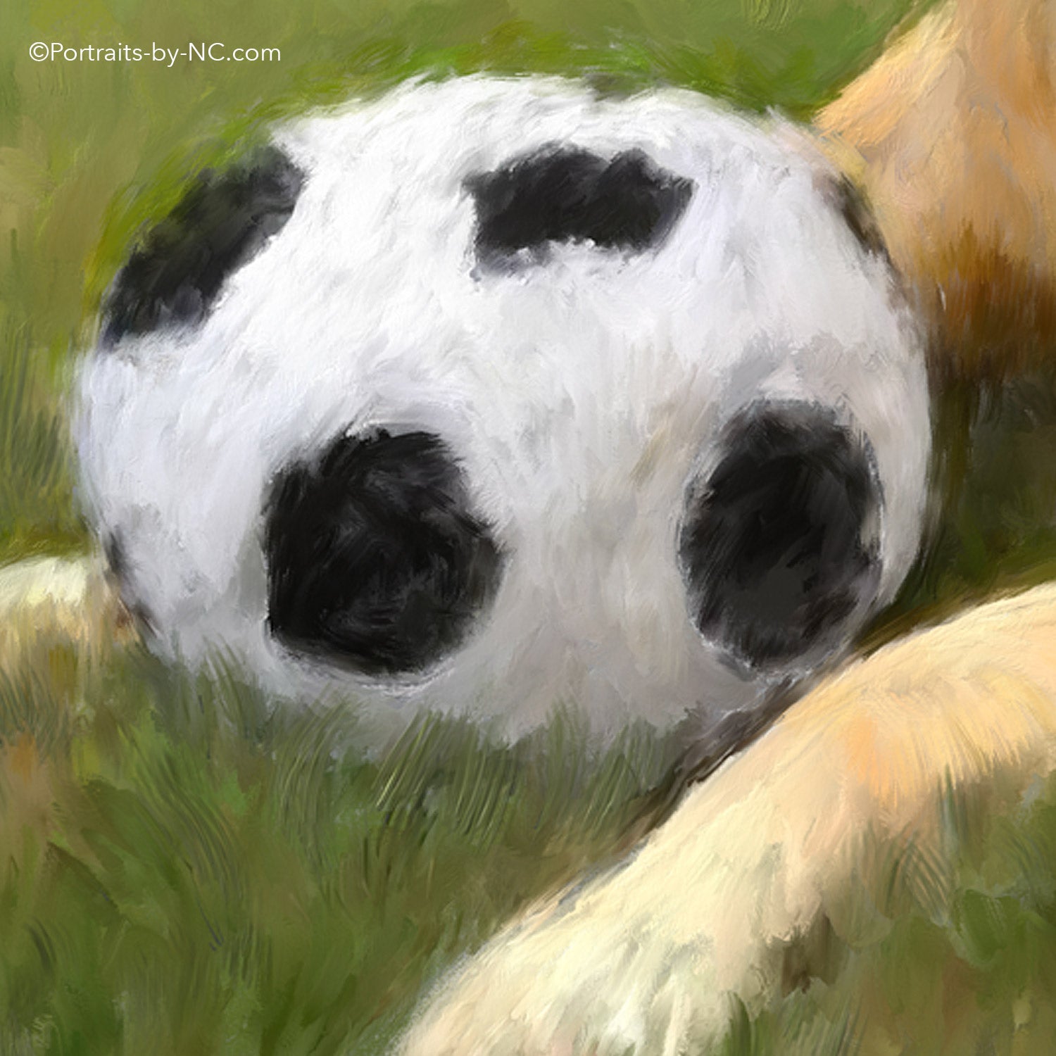 Toy Soccer ball