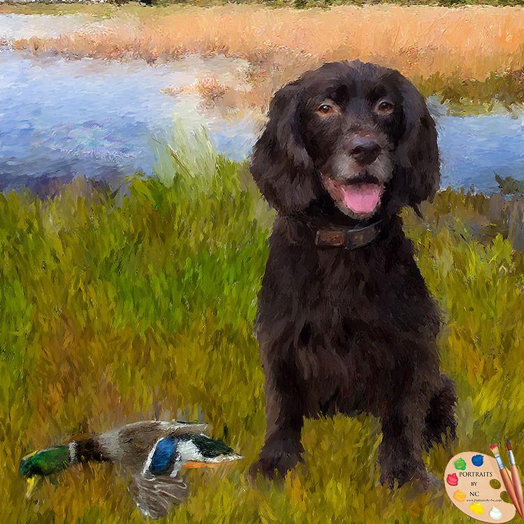 Water Spaniel Dog Portrait