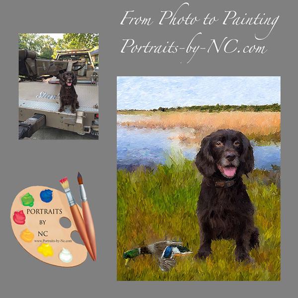 Water Spaniel Portrait from Photo