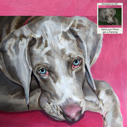 Weimaraner Oil Dog Portrait of Scooby