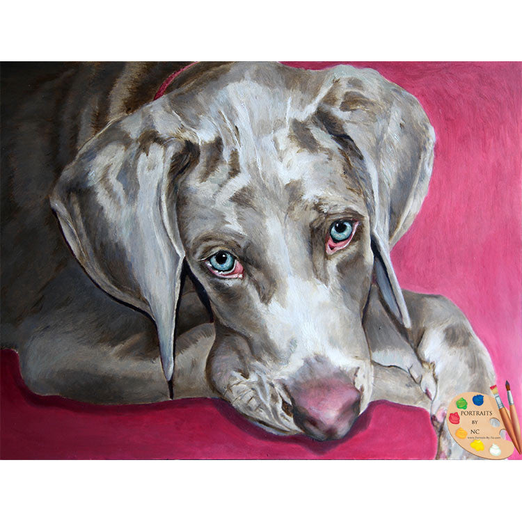 Weimaraner Painting Scooby 237