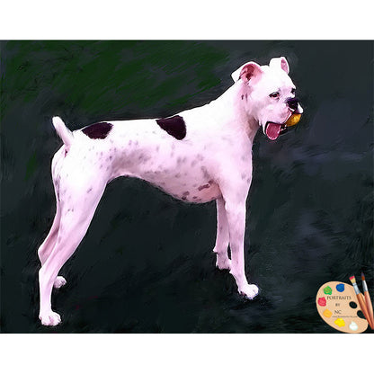 White Boxer Dog Portrait 394