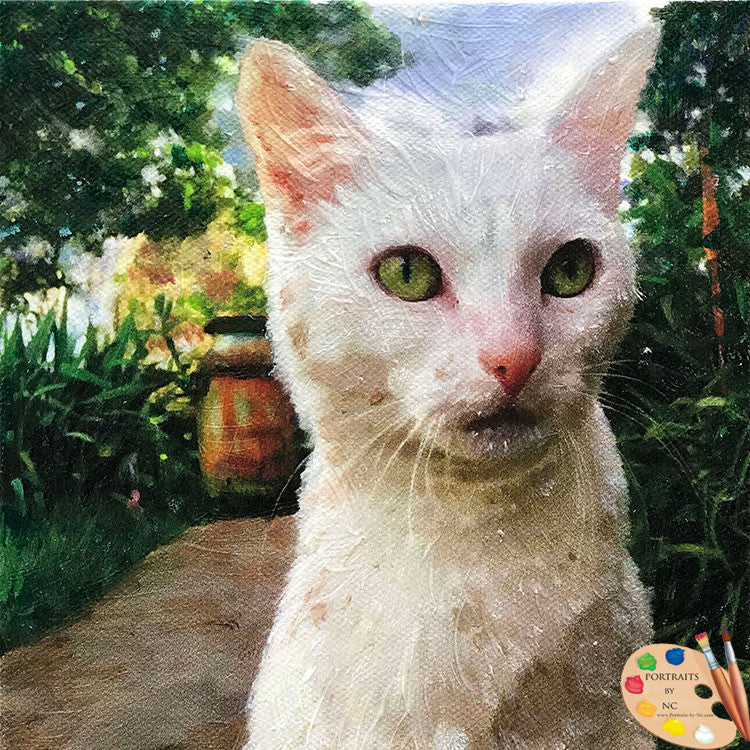 White Cat Portrait 557