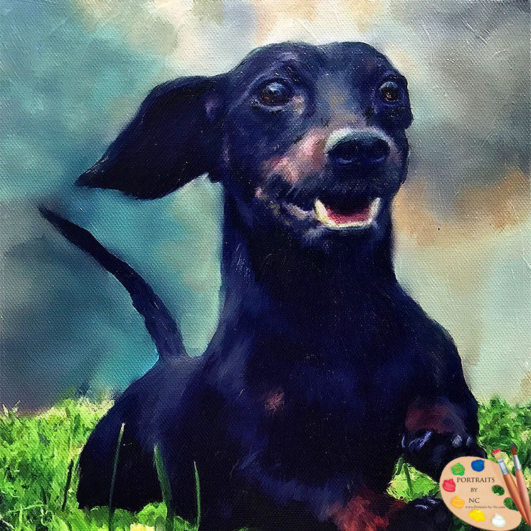 Wiener Dog Portrait 540