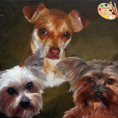 Group Dog Portrait 571